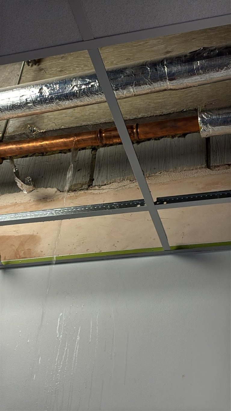 Cold mains leak plumber