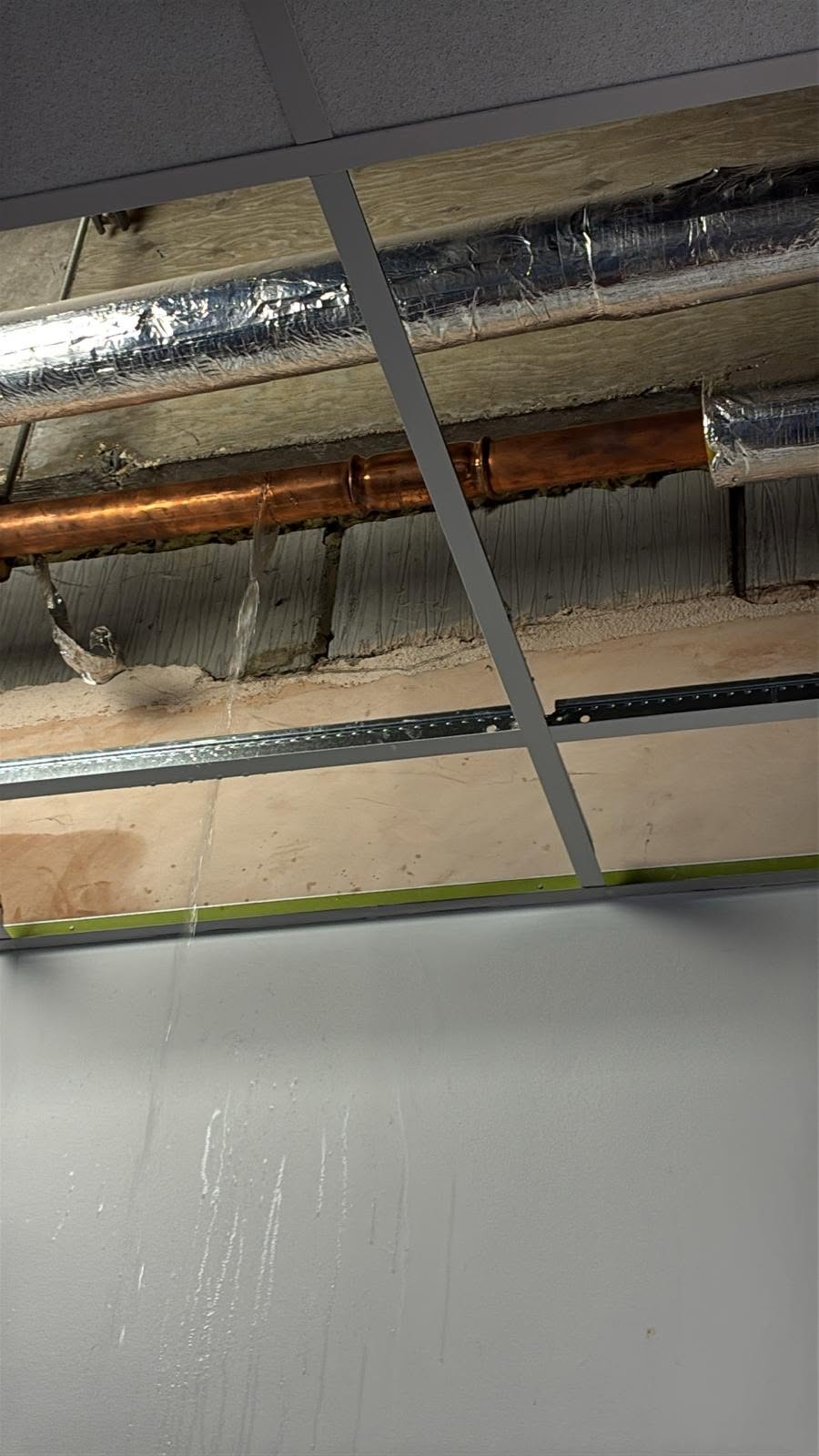 Cold mains leak plumber